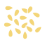seeds